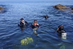 Buceo-en-Uruguay-Buceo-Aventura-Uruguay-Las_Mesitas_Maldonado_12