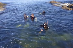 Buceo-en-Uruguay-Buceo-Aventura-Uruguay-Las_Mesitas_Maldonado_15