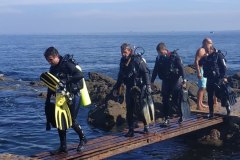 Buceo-en-Uruguay-Buceo-Aventura-Uruguay-Las_Mesitas_Maldonado_19