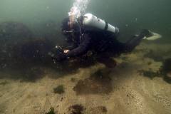 Buceo-en-Uruguay-Buceo-Aventura-Uruguay-Las_Mesitas_Maldonado_210