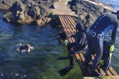 Buceo-en-Uruguay-Buceo-Aventura-Uruguay-Las_Mesitas_Maldonado_213